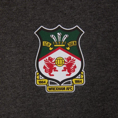 Wrexham Charcoal Hoodie - S Image 2