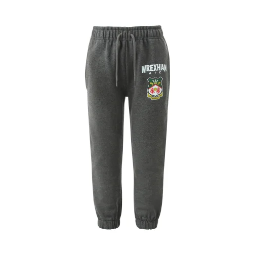 Kids Wrexham Charcoal Tracksuit Bottoms - 2-3yrs Image 1